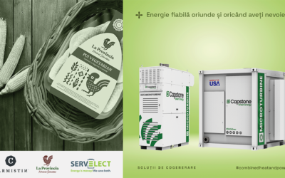 Carmistin implementeaza cu Servelect doua proiecte de cogenerare de inalta eficienta